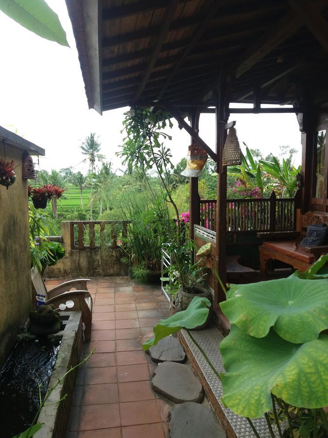 Ogek Home Stay أوبود المظهر الخارجي الصورة