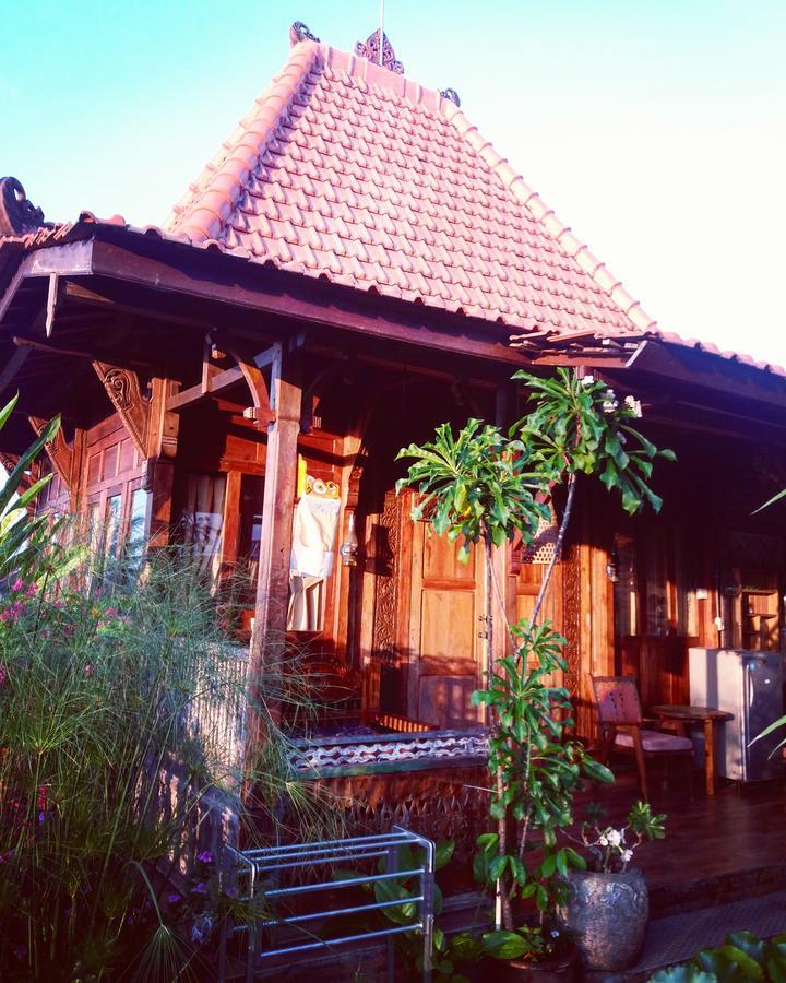 Ogek Home Stay أوبود المظهر الخارجي الصورة